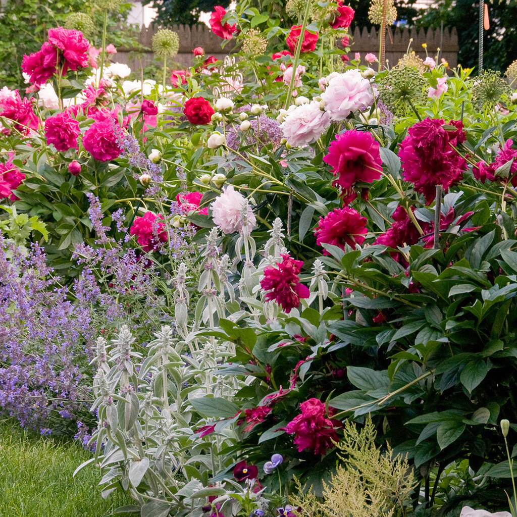 French Broad River Garden Club